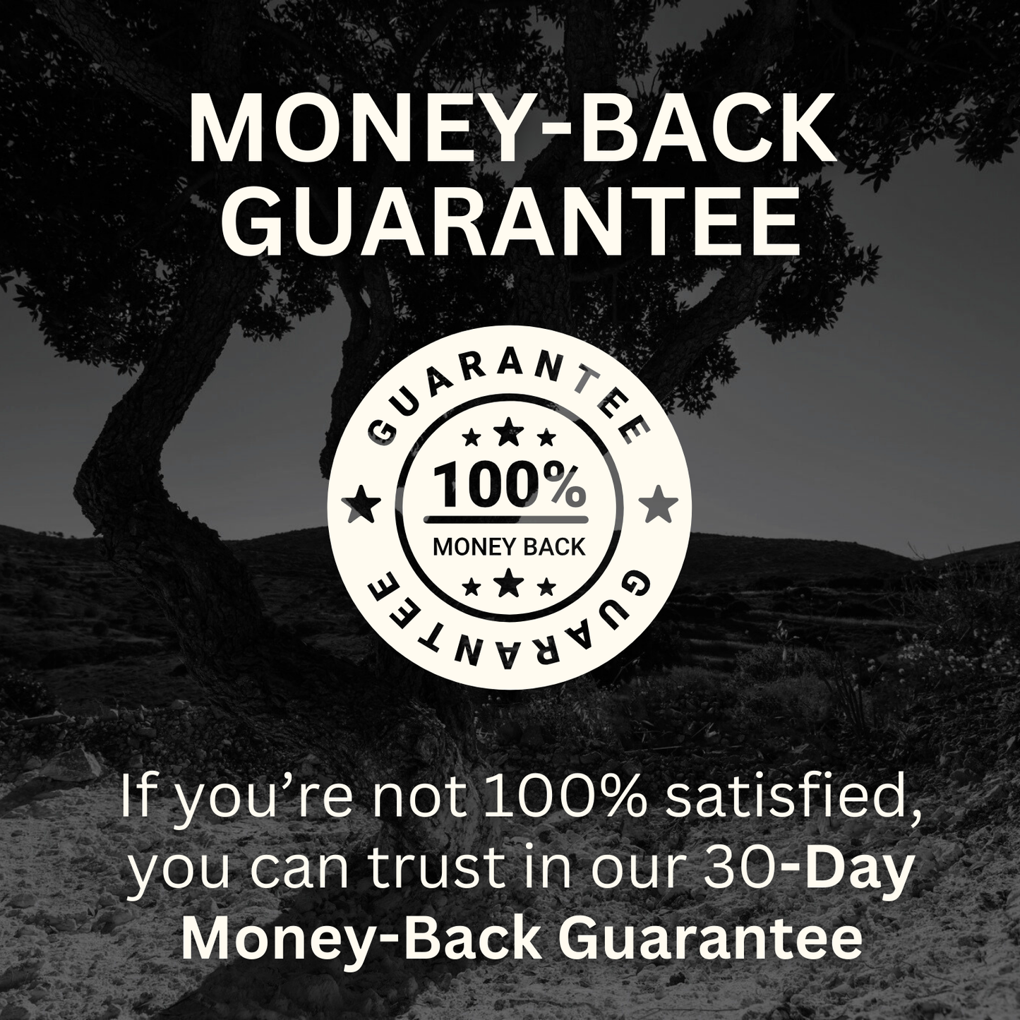 Premium Mastic Chewing Gum - 100% Natural