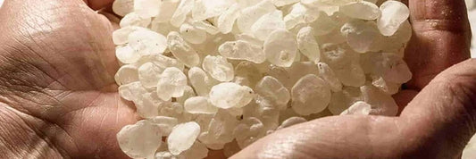 I Chewed Mastic Gum for 30 Days: Jawline Results & Truth